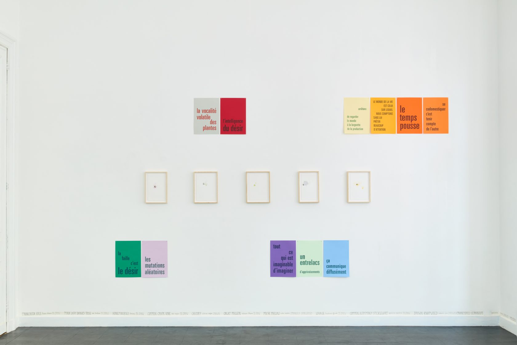 Wildgroei: weg ermee?