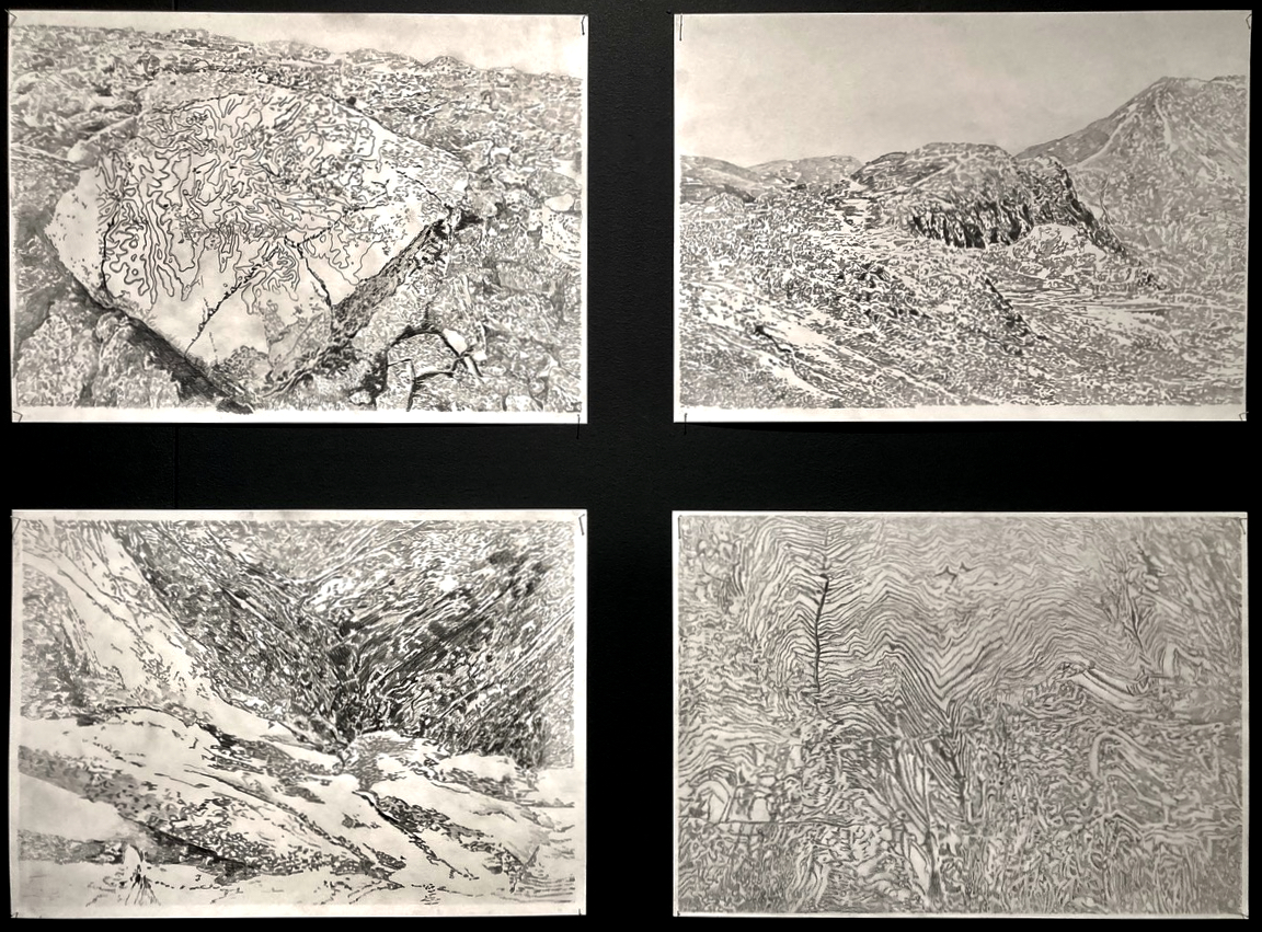 Leren kijken met de ogen van een arend