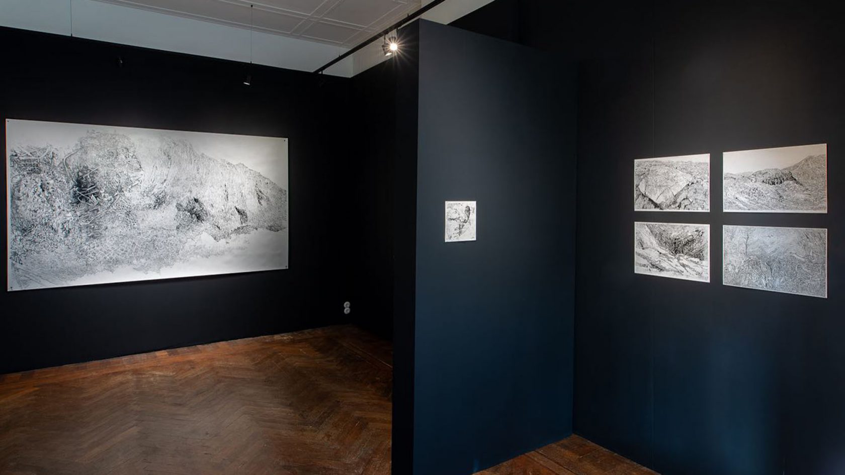 Leren kijken met de ogen van een arend