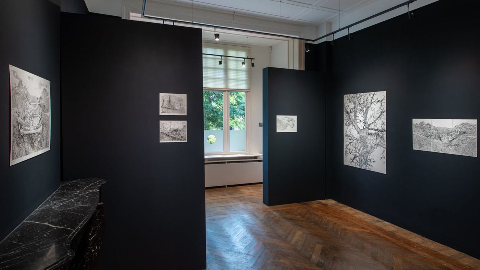 Leren kijken met de ogen van een arend